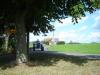 Restaurierung G�ldner AX &nbsp;&nbsp;&nbsp;&nbsp;&nbsp;&nbsp;&nbsp;&nbsp;&nbsp;&nbsp; (3882) 