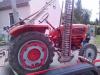 Mein G�ldner &nbsp;&nbsp;&nbsp;&nbsp;&nbsp;&nbsp;&nbsp;&nbsp;&nbsp;&nbsp; (8049) 
