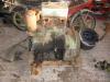 G�ldner 2DA Motor &nbsp;&nbsp;&nbsp;&nbsp;&nbsp;&nbsp;&nbsp;&nbsp;&nbsp;&nbsp; (5047) 