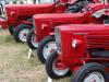G�ldner aus Holland &nbsp;&nbsp;&nbsp;&nbsp;&nbsp;&nbsp;&nbsp;&nbsp;&nbsp;&nbsp; (6562) 
