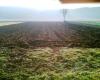 Herbstarbeit 6 &nbsp;&nbsp;&nbsp;&nbsp;&nbsp;&nbsp;&nbsp;&nbsp;&nbsp;&nbsp; (1108) 