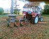 Herbstarbeit 7 &nbsp;&nbsp;&nbsp;&nbsp;&nbsp;&nbsp;&nbsp;&nbsp;&nbsp;&nbsp; (1109) 