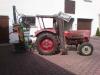 G�ldner G30 beim Holzspalten &nbsp;&nbsp;&nbsp;&nbsp;&nbsp;&nbsp;&nbsp;&nbsp;&nbsp;&nbsp; (4555) 