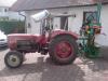 G�ldner G30 beim Holzspalten3 &nbsp;&nbsp;&nbsp;&nbsp;&nbsp;&nbsp;&nbsp;&nbsp;&nbsp;&nbsp; (4557) 