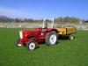 G�ldner G25 S mit Kai &nbsp;&nbsp;&nbsp;&nbsp;&nbsp;&nbsp;&nbsp;&nbsp;&nbsp;&nbsp; (1275) 