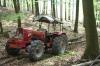 G 50 AF im Wald &nbsp;&nbsp;&nbsp;&nbsp;&nbsp;&nbsp;&nbsp;&nbsp;&nbsp;&nbsp; (2075) 