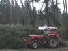 G40A im Forst nach Kyrill &nbsp;&nbsp;&nbsp;&nbsp;&nbsp;&nbsp;&nbsp;&nbsp;&nbsp;&nbsp; (2333) 