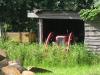 Schlafender G�ldner &nbsp;&nbsp;&nbsp;&nbsp;&nbsp;&nbsp;&nbsp;&nbsp;&nbsp;&nbsp; (4411) 