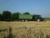 Holder B10 bei der Ernte &nbsp;&nbsp;&nbsp;&nbsp;&nbsp;&nbsp;&nbsp;&nbsp;&nbsp;&nbsp; (6533) 