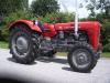 Massey Ferguson MF 35 &nbsp;&nbsp;&nbsp;&nbsp;&nbsp;&nbsp;&nbsp;&nbsp;&nbsp;&nbsp; (4968) 