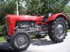 Massey Ferguson MF 35 &nbsp;&nbsp;&nbsp;&nbsp;&nbsp;&nbsp;&nbsp;&nbsp;&nbsp;&nbsp; (4954) 