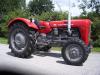 Massey Ferguson MF 35 &nbsp;&nbsp;&nbsp;&nbsp;&nbsp;&nbsp;&nbsp;&nbsp;&nbsp;&nbsp; (4956) 