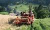 Epple Mobil 211 H &nbsp;&nbsp;&nbsp;&nbsp;&nbsp;&nbsp;&nbsp;&nbsp;&nbsp;&nbsp; (3443) 